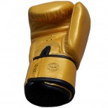 Перчатки боксерские Fairtex (BGV-19 gold)